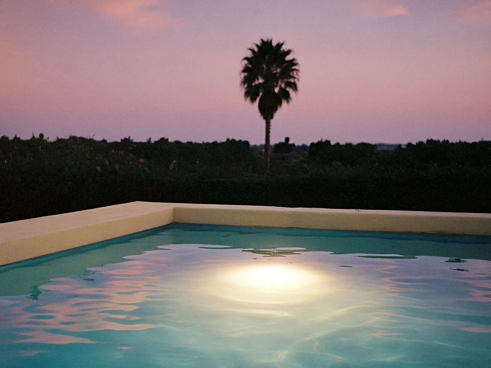 A backyard pool at dusk with one underwater light and a palm silhouette against a pink sky
